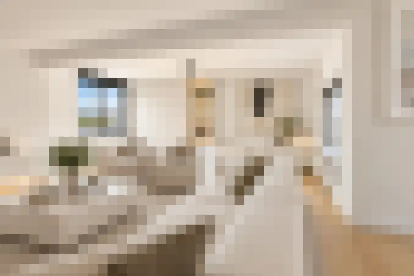 Valkenburgerstraat 149 A Amsterdam thumbnail 9