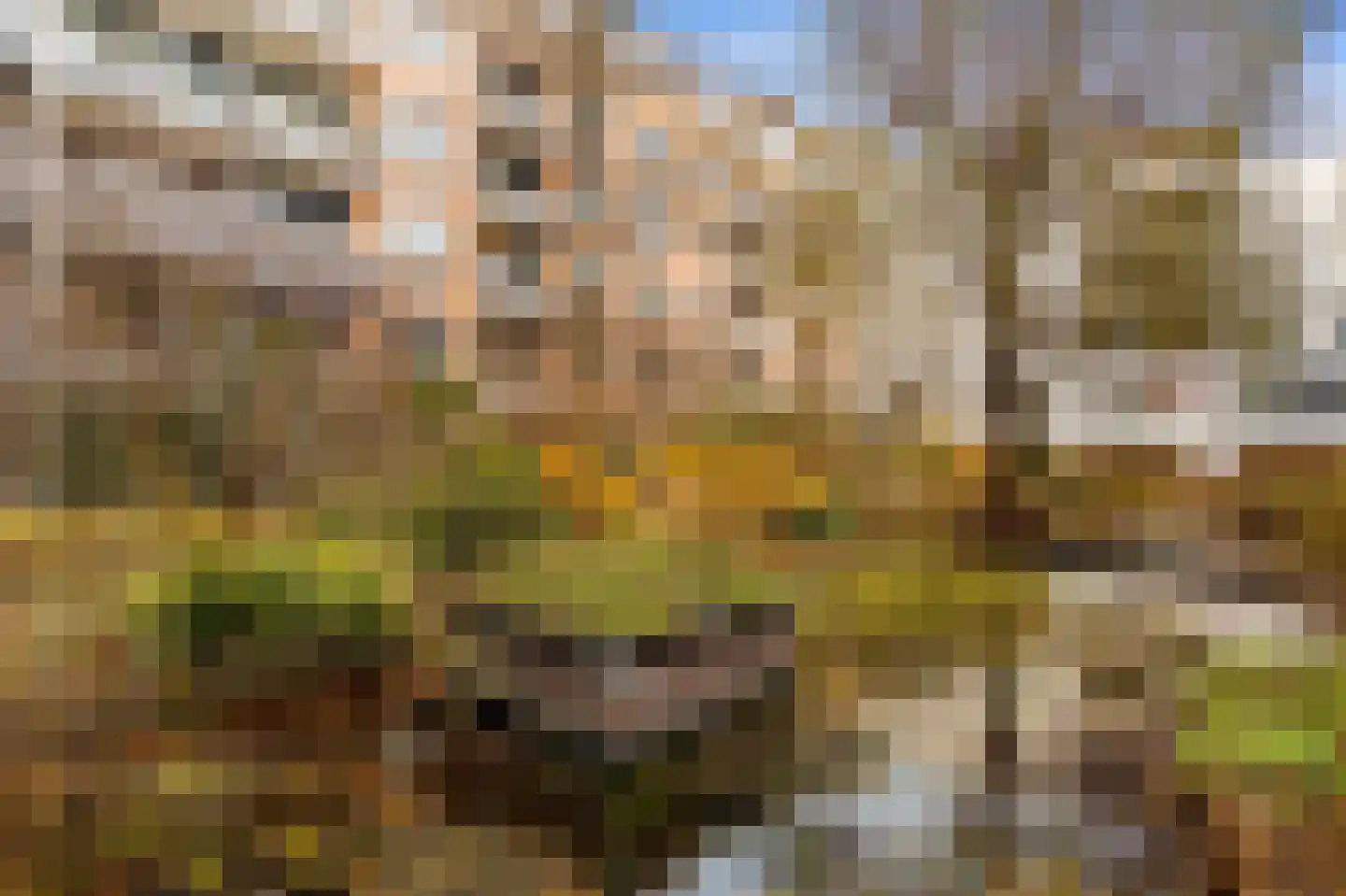Valkenburgerstraat 149 AB Amsterdam thumbnail 28