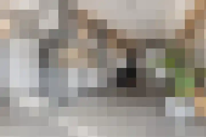 Valkenburgerstraat 192 N Amsterdam thumbnail 27