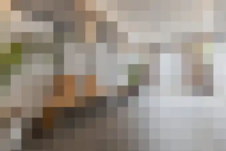 Valkenburgerstraat 194 E Amsterdam thumbnail 6