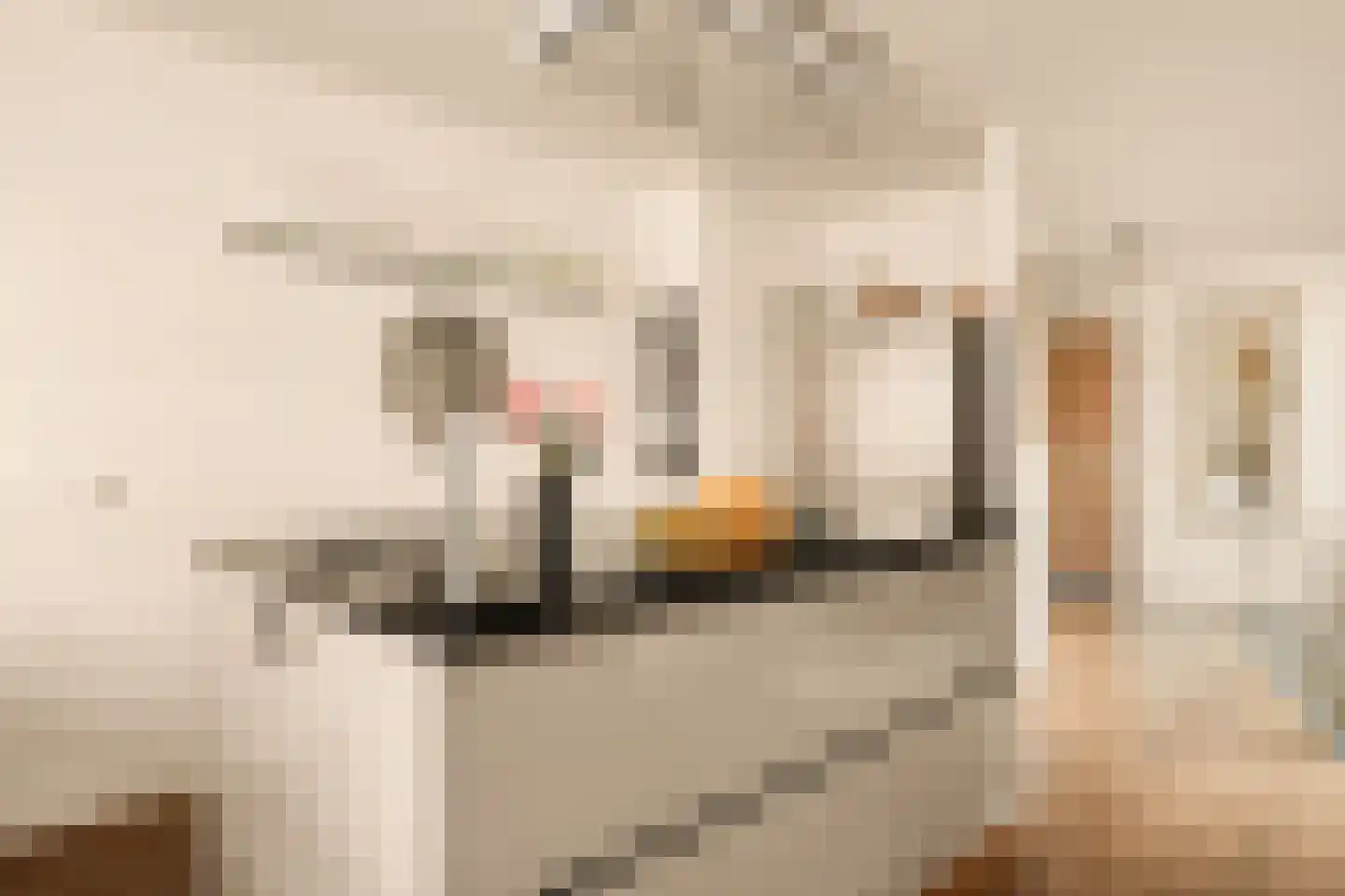Valkenburgerstraat 194 N Amsterdam thumbnail 18