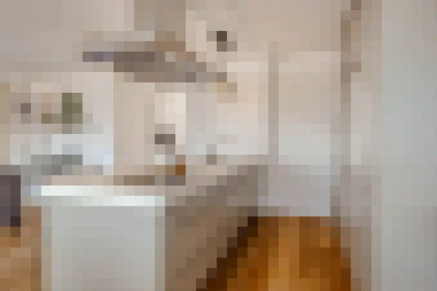 Valkenburgerstraat 194 N Amsterdam thumbnail 7