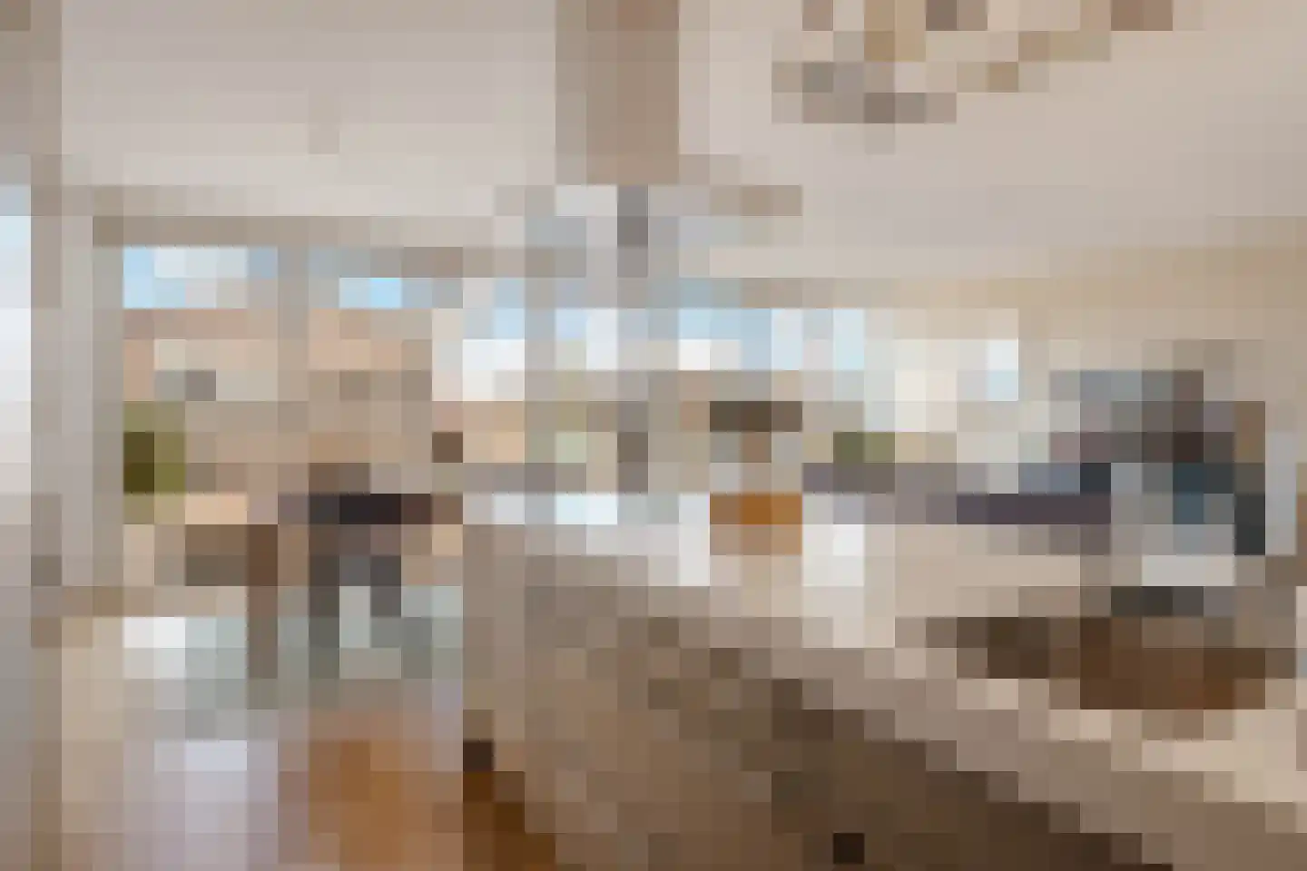 Valkenburgerstraat 194 N Amsterdam thumbnail 9