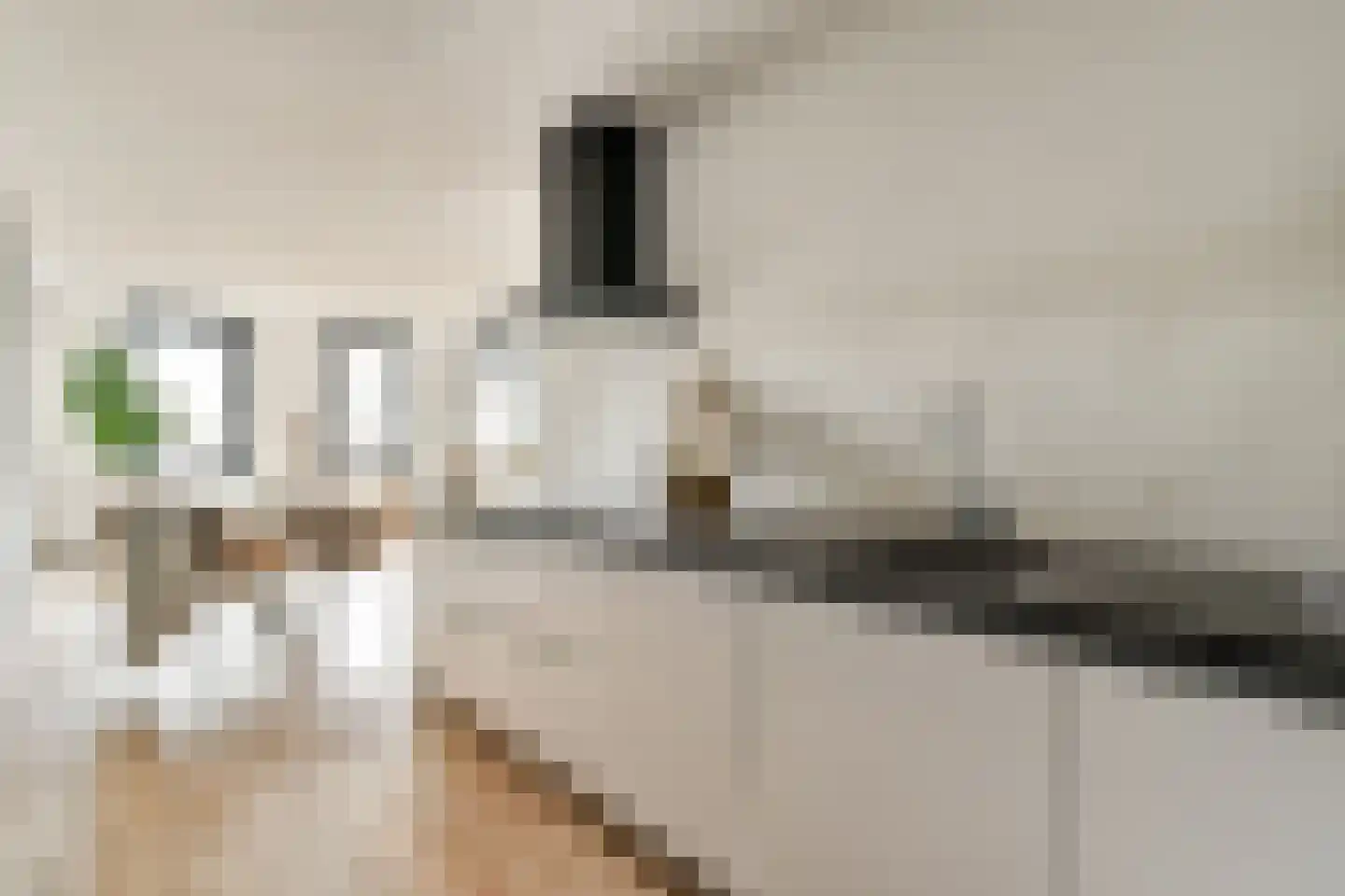 Valkenburgerstraat 22 E Amsterdam thumbnail 13