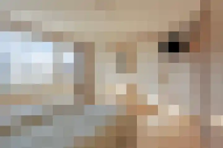 Valkenburgerstraat 46 Berg en Terblijt thumbnail 23