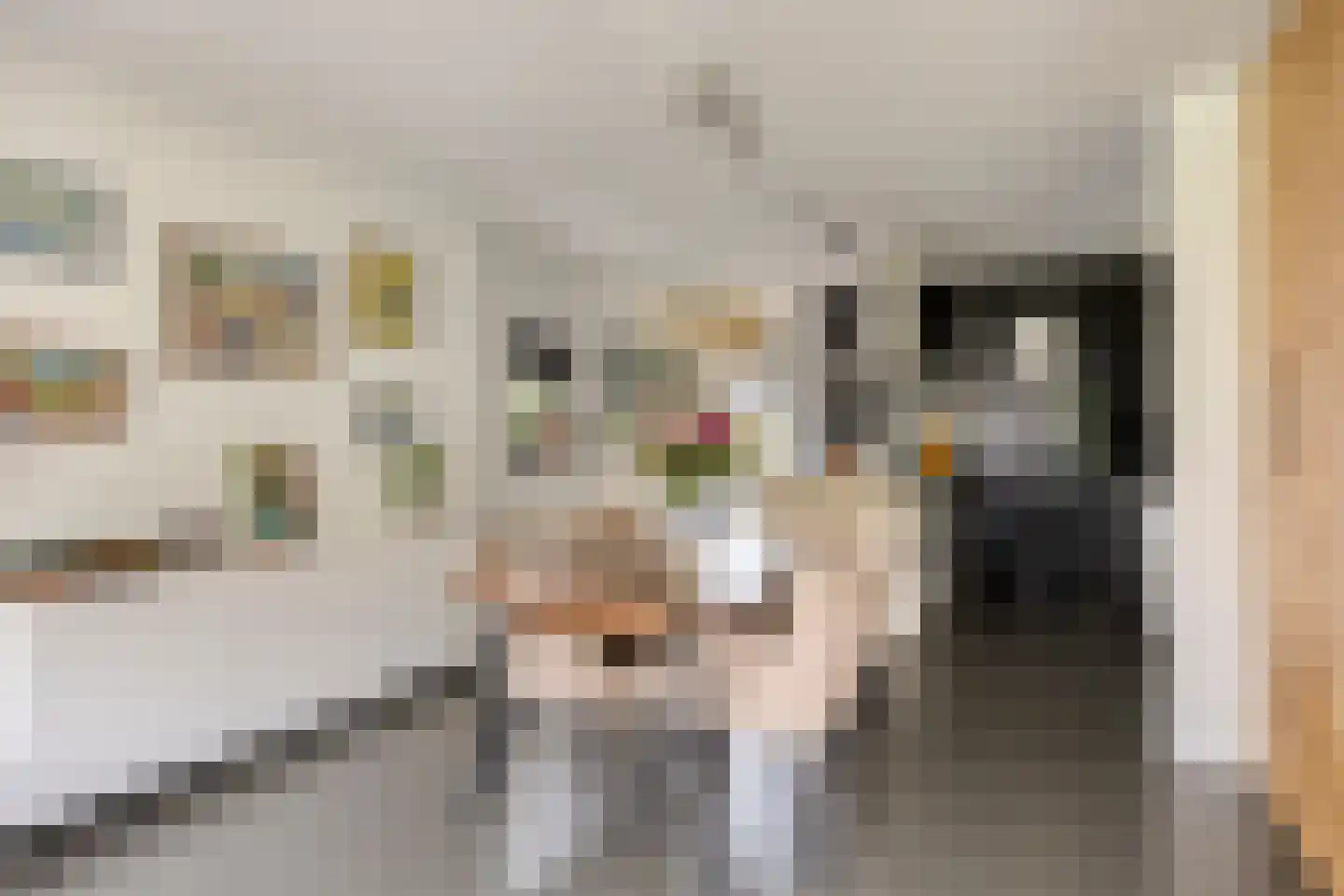 Valkenburgerstraat 81 Amsterdam thumbnail 12