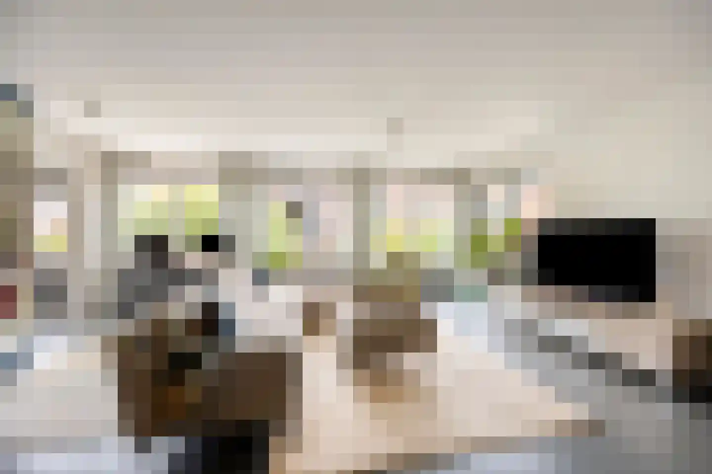 Valkenburgerstraat 81 Amsterdam thumbnail 8