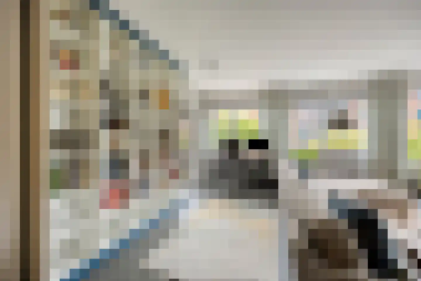 Valkenburgerstraat 81 Amsterdam thumbnail 9
