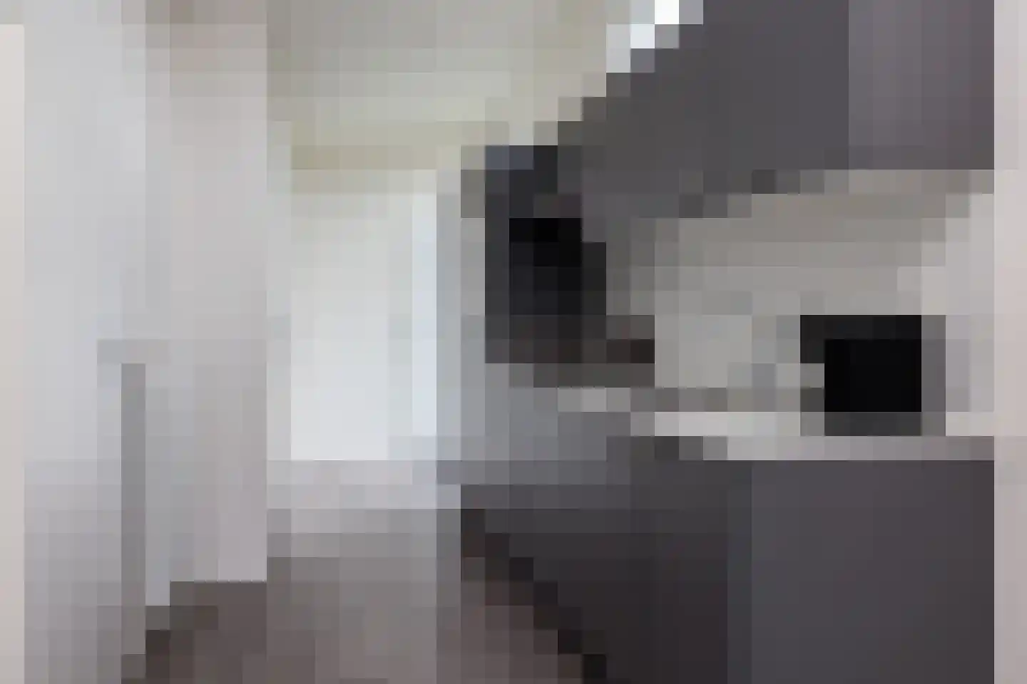 Valkenburgerweg 128 501 Schin op Geul thumbnail 15