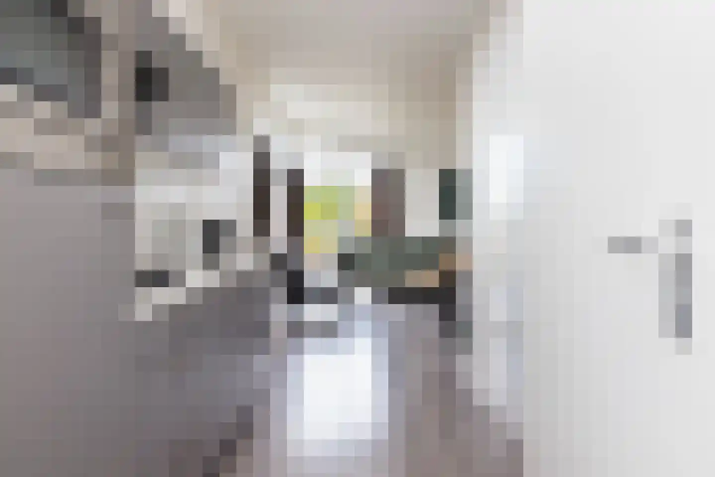 Valkenburgerweg 128 501 Schin op Geul thumbnail 5