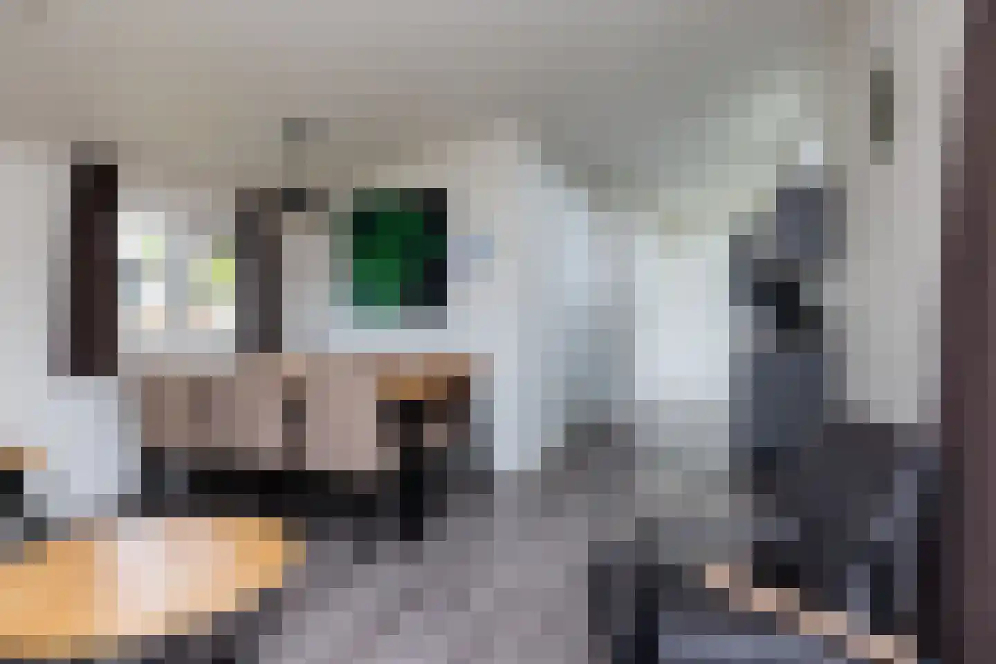 Valkenburgerweg 128 501 Schin op Geul thumbnail 9