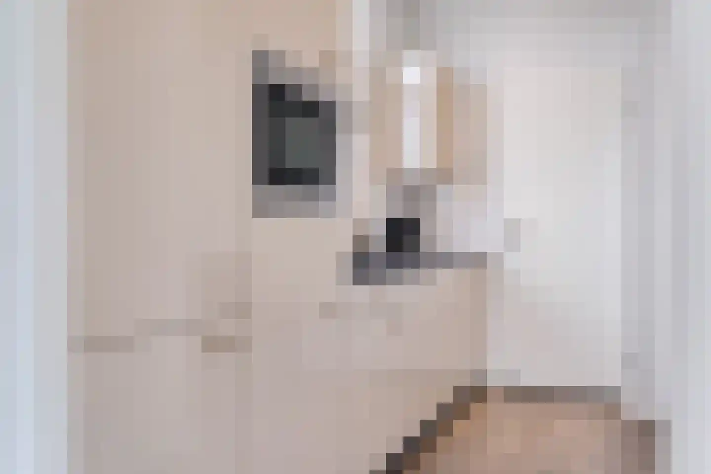 Valkenburgerweg 128 V 210 Schin op Geul thumbnail 11