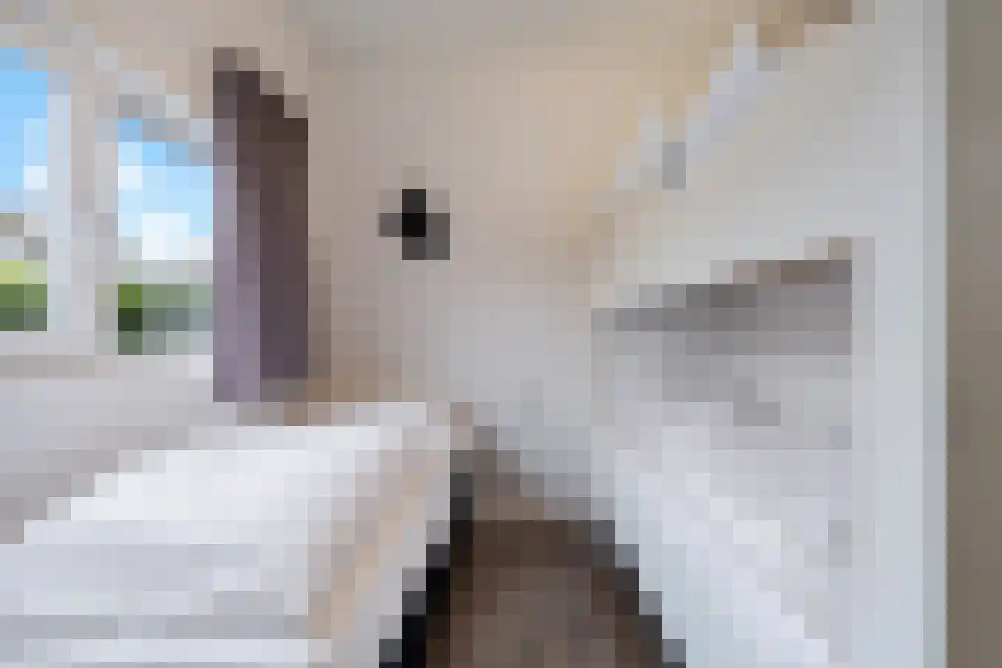 Valkenburgerweg 128 V 210 Schin op Geul thumbnail 13