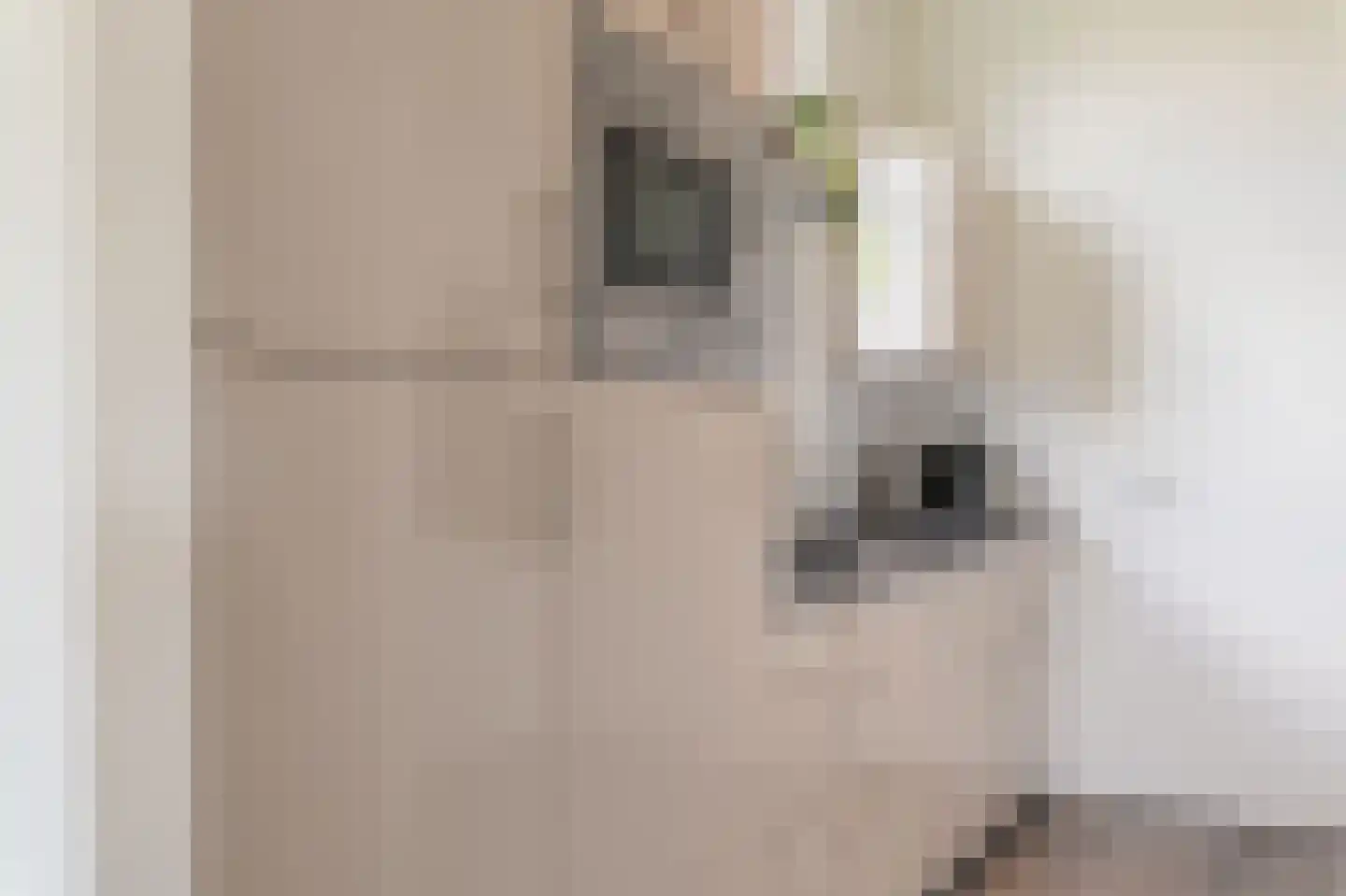 Valkenburgerweg 128 V 216 Schin op Geul thumbnail 25