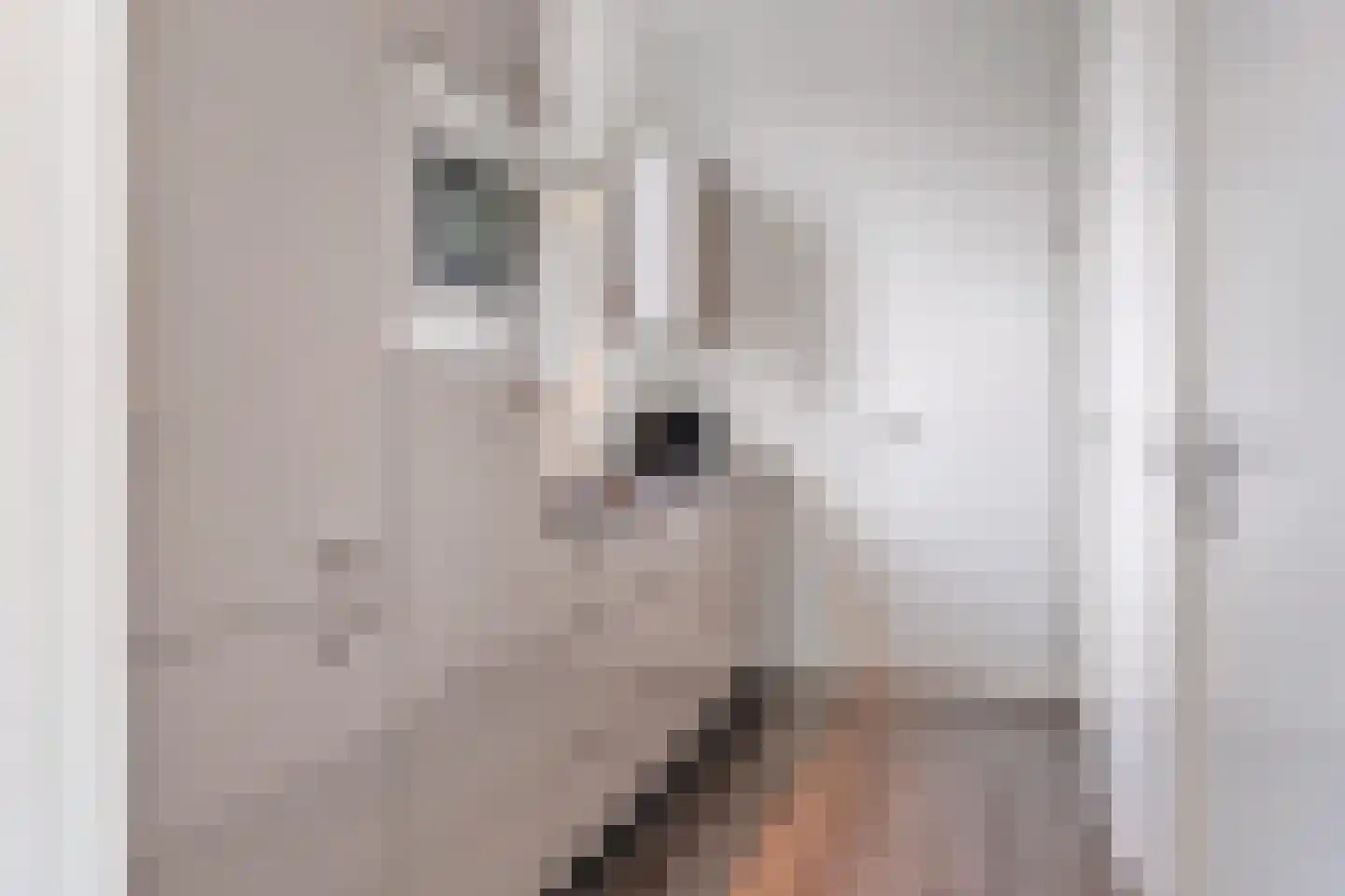 Valkenburgerweg 128 V 242 Schin op Geul thumbnail 8