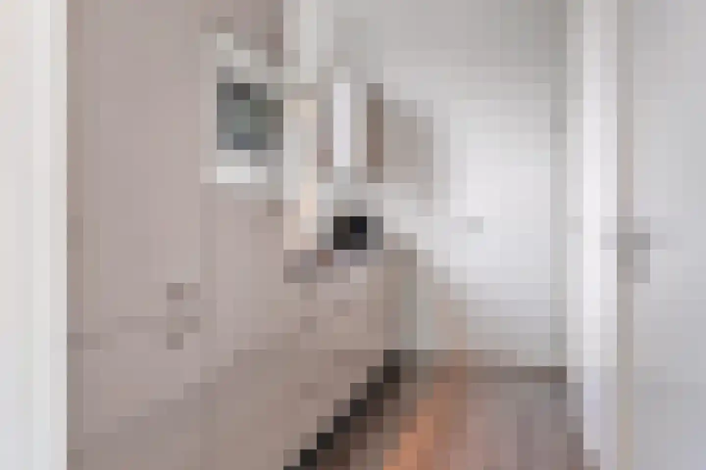 Valkenburgerweg 128 V 242 Schin op Geul thumbnail 8