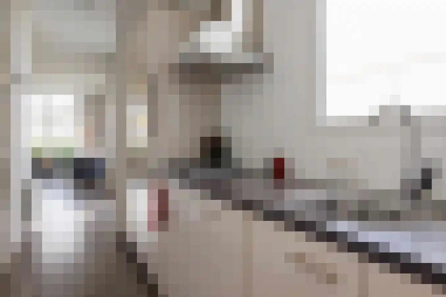 Valkenburgerweg 128 V 246 Schin op Geul thumbnail 5