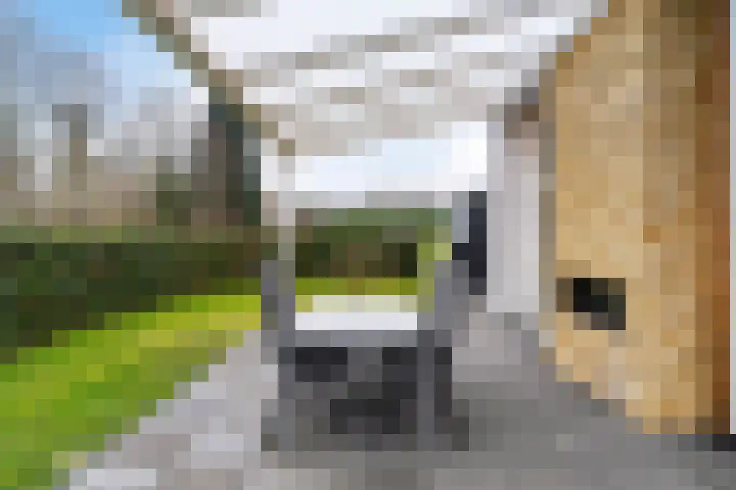 Valkenburgerweg 128 V 250 Schin op Geul thumbnail 5