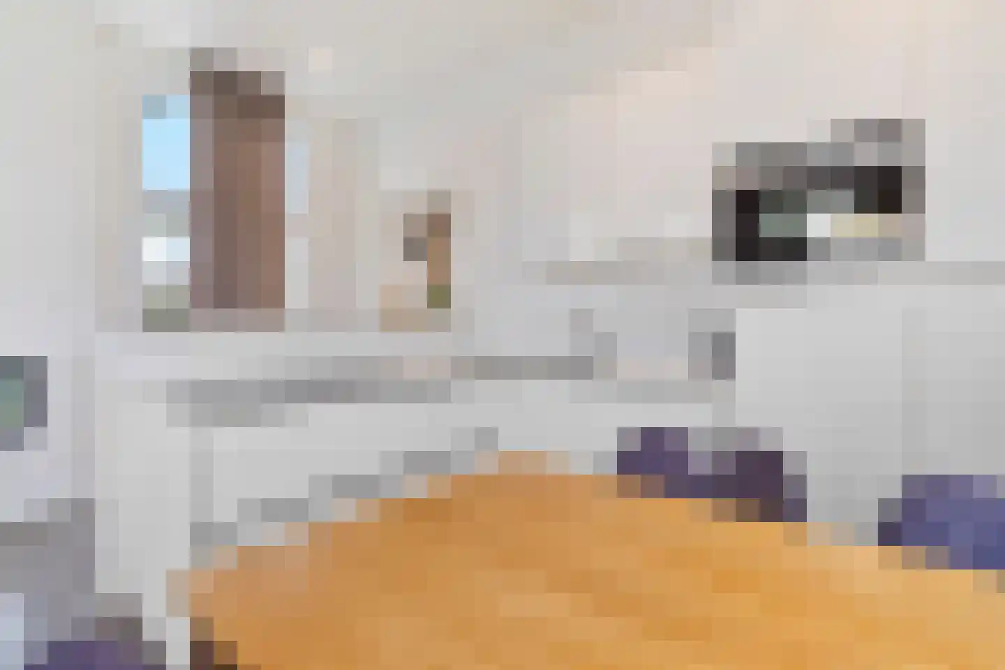 Valkenburgerweg 128 V 250 Schin op Geul thumbnail 8