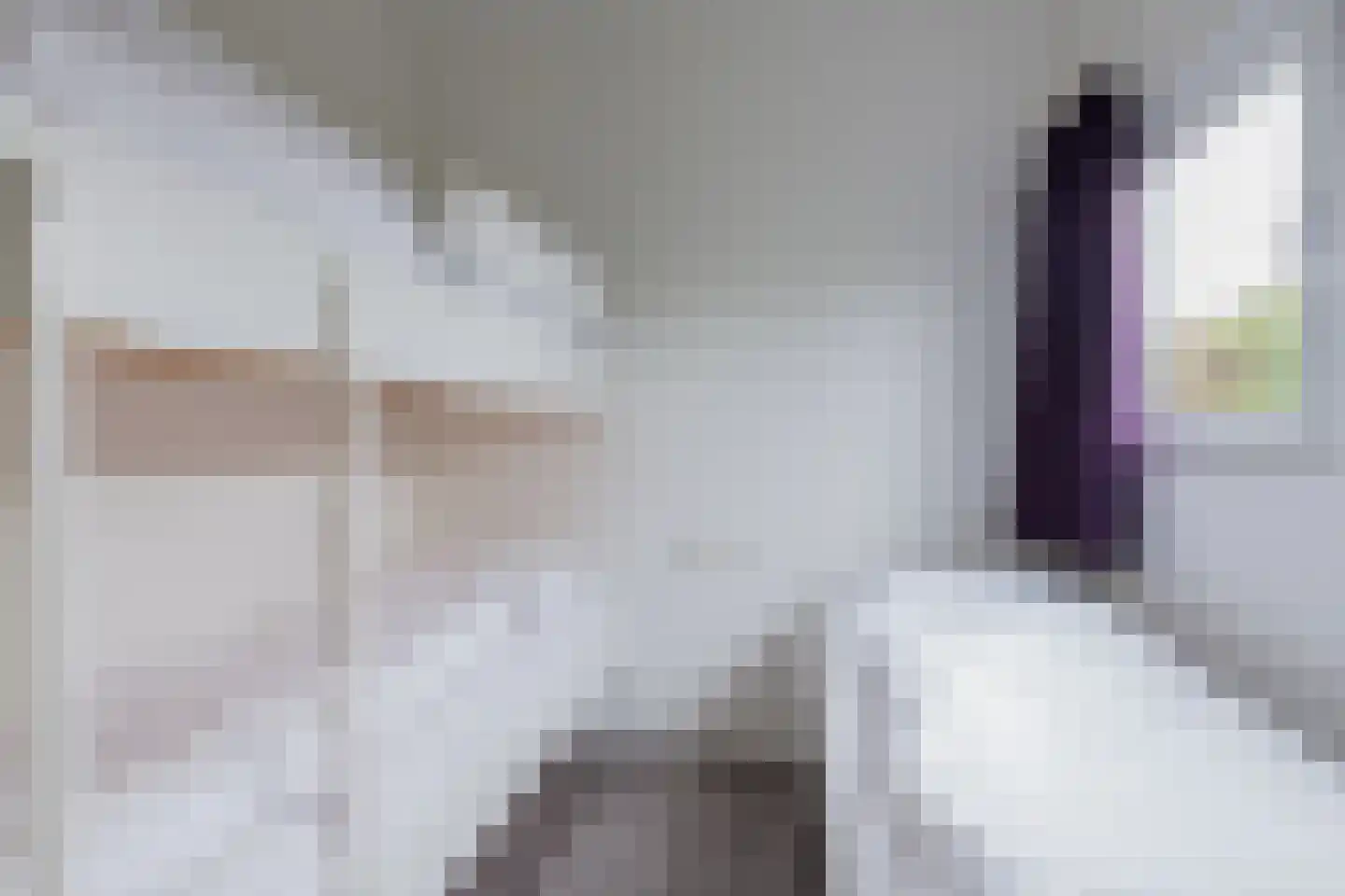 Valkenburgerweg 128 V 33 Schin op Geul thumbnail 18