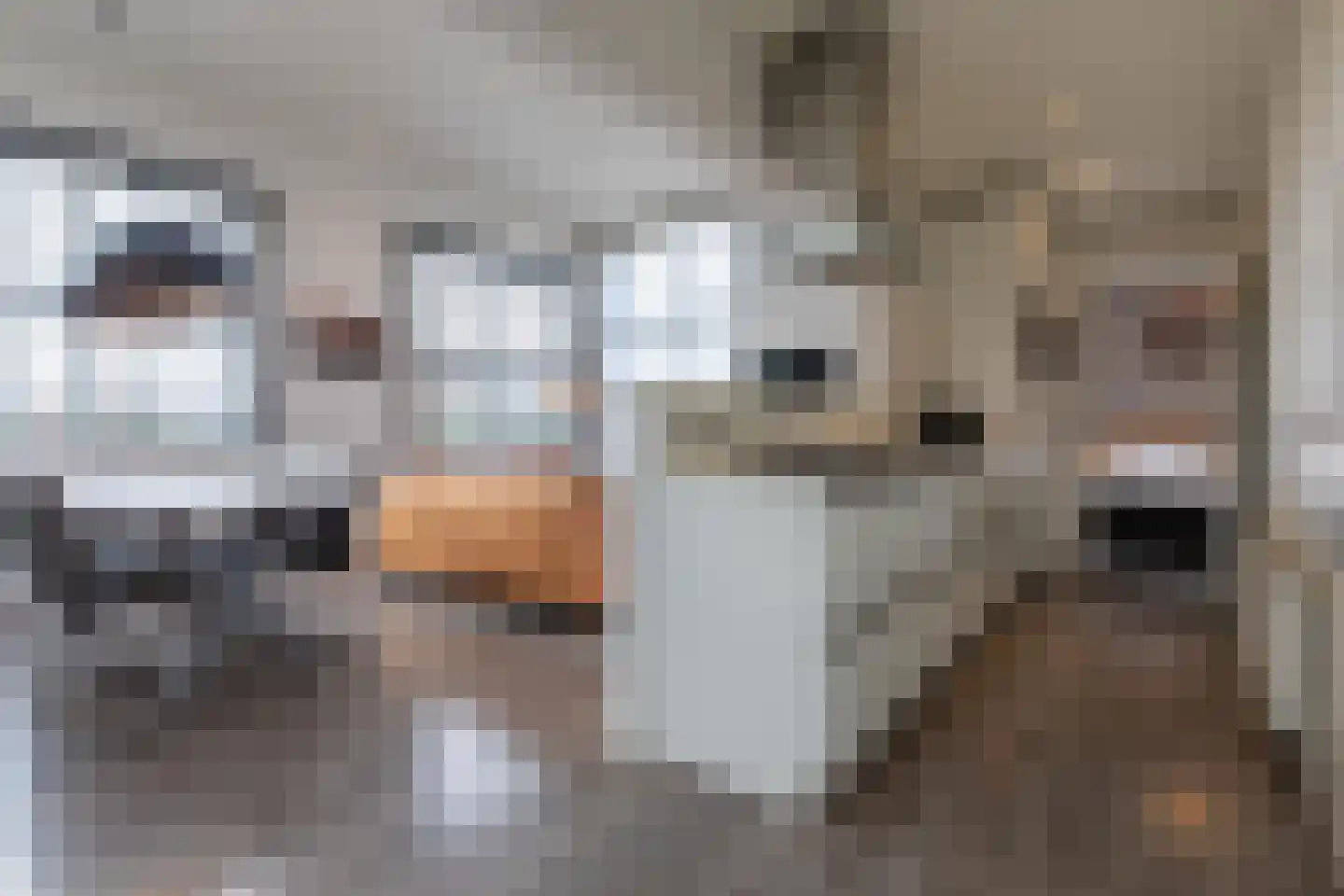 Valkenburgerweg 128 V 38 Schin op Geul thumbnail 10
