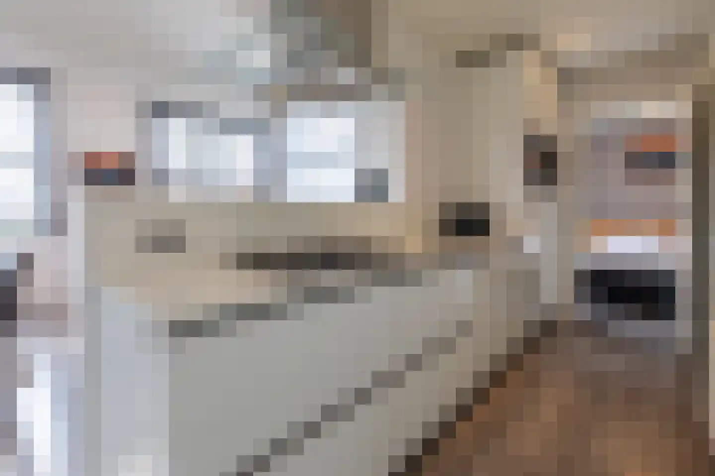Valkenburgerweg 128 V 38 Schin op Geul thumbnail 11