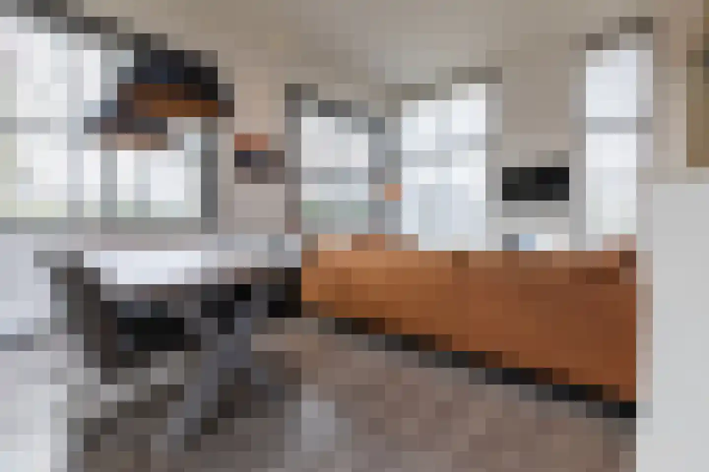 Valkenburgerweg 128 V 38 Schin op Geul thumbnail 4