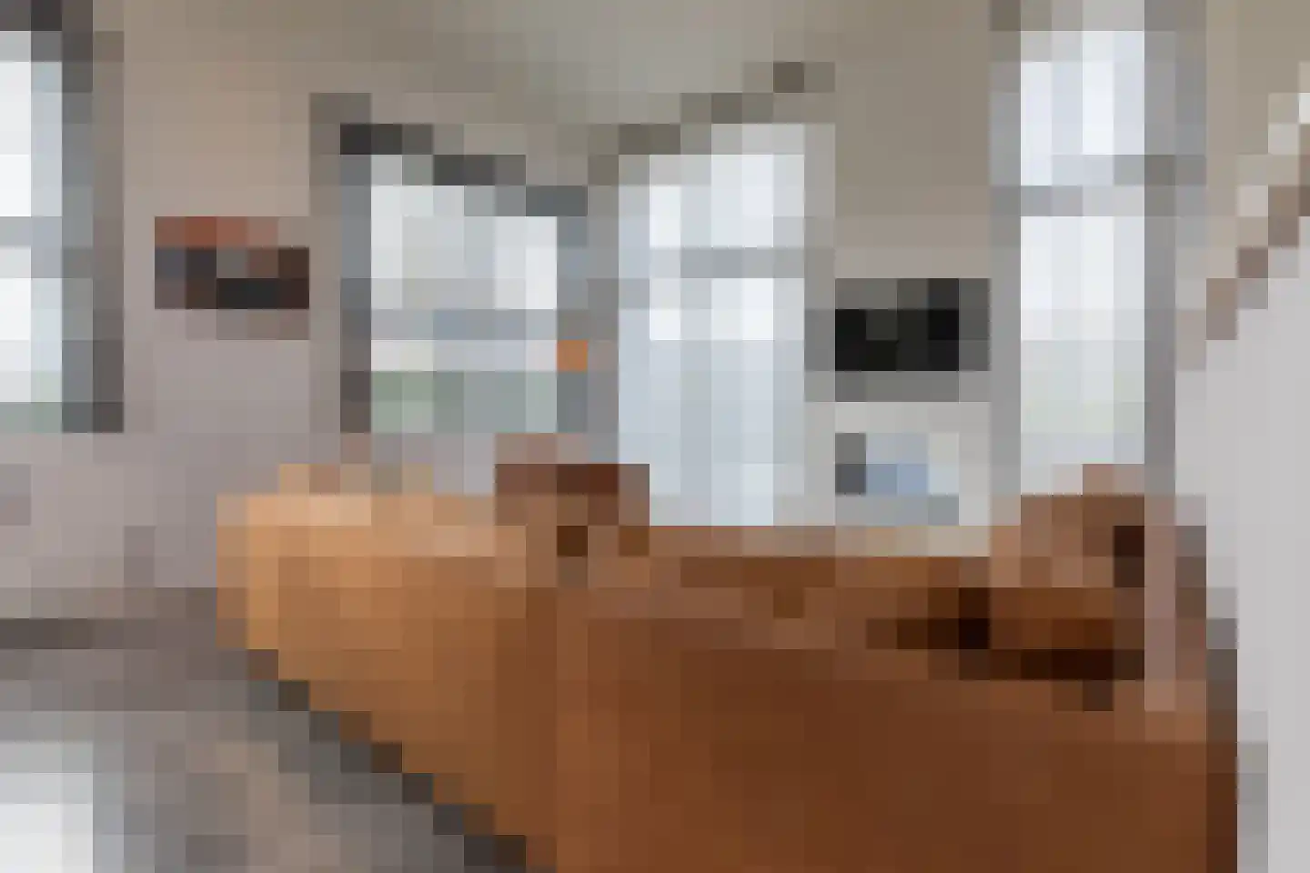 Valkenburgerweg 128 V 38 Schin op Geul thumbnail 7