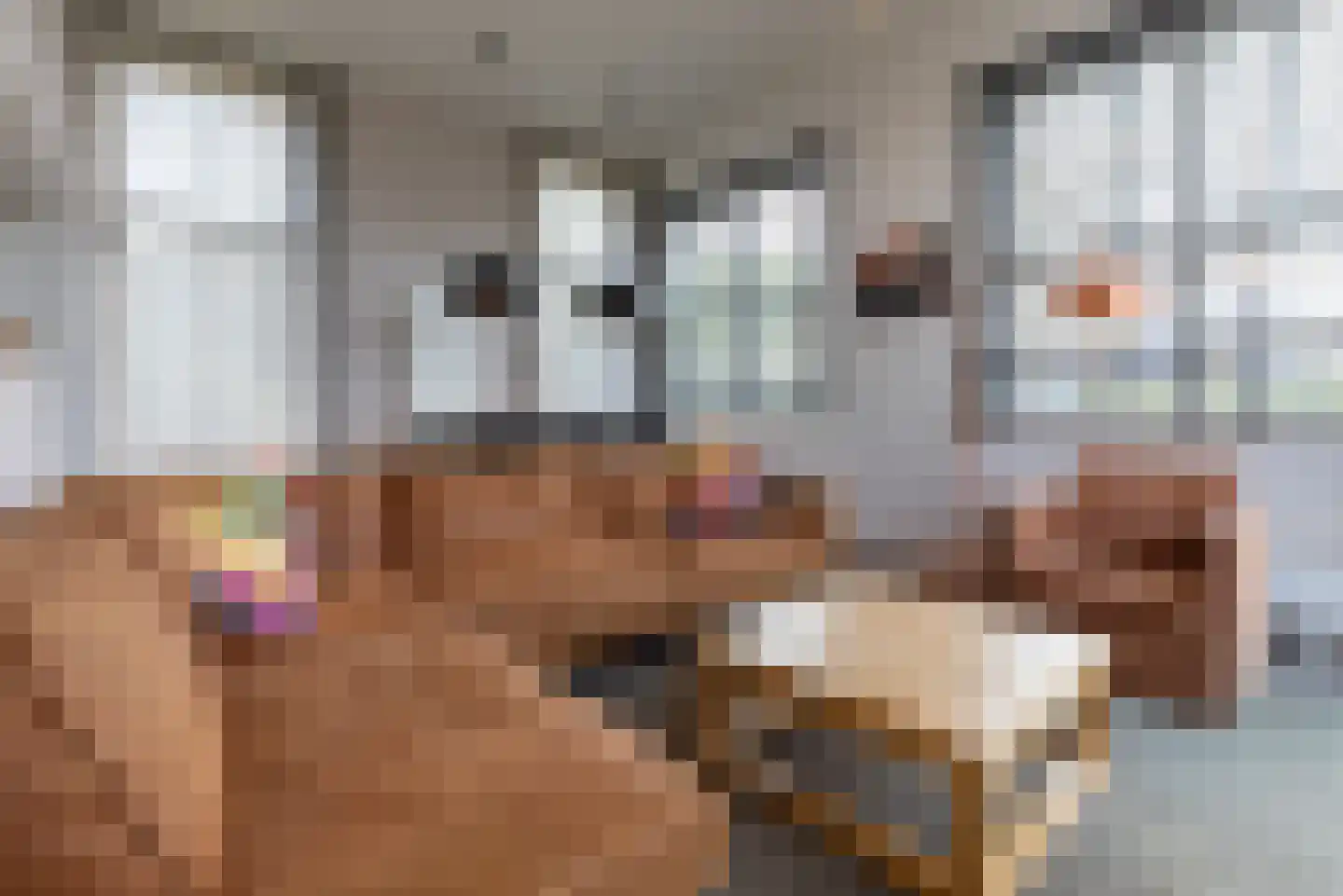 Valkenburgerweg 128 V 38 Schin op Geul thumbnail 9