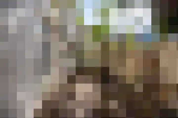 Valkenburgerweg 25 Heerlen thumbnail 20