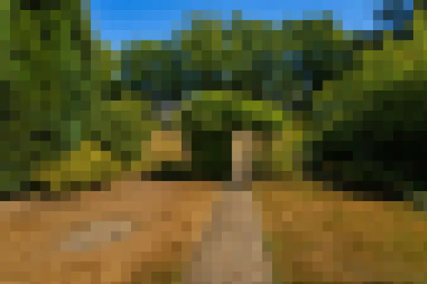 Valkenburgerweg 26 Wijlre thumbnail 30