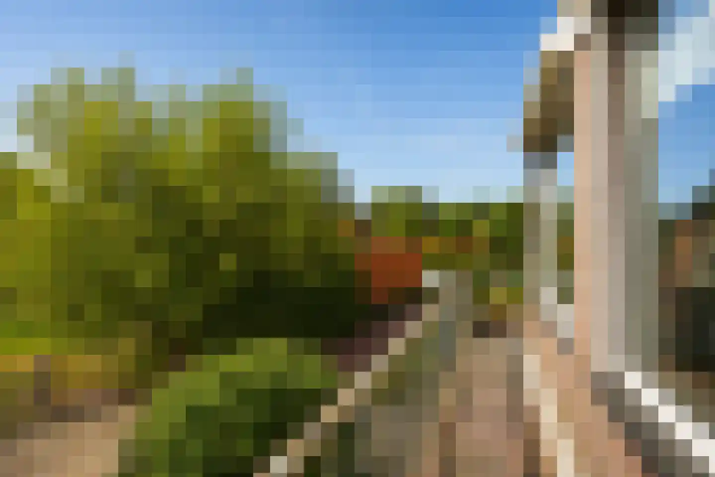 Valkenburgerweg 26 Wijlre thumbnail 8