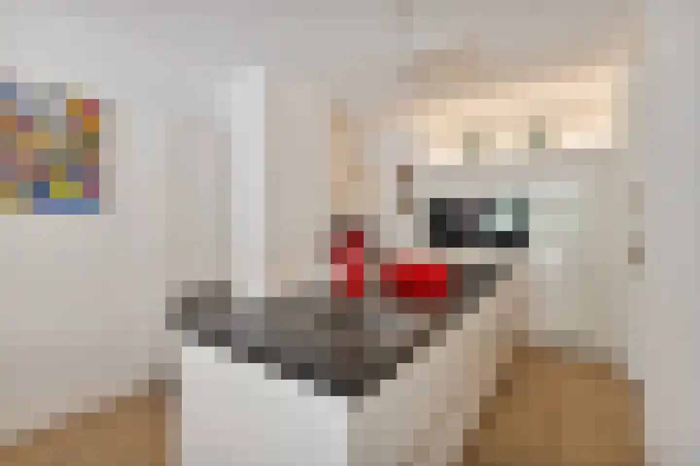 Valkenburgerweg 27 D Heerlen thumbnail 9