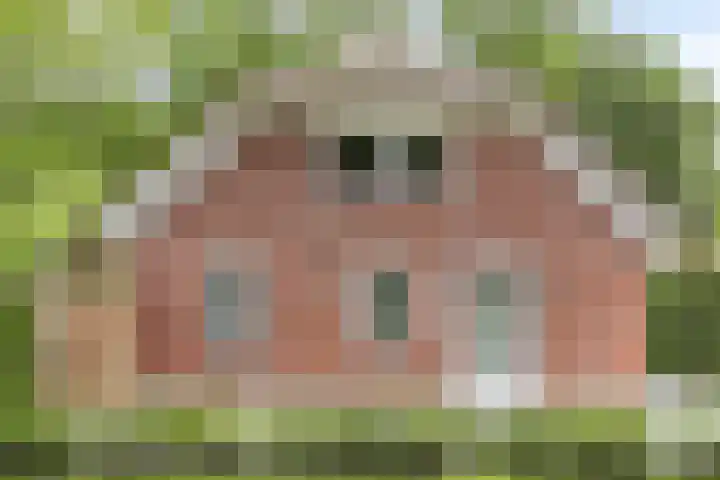 Valkenburgerweg 35 Nuth thumbnail 12