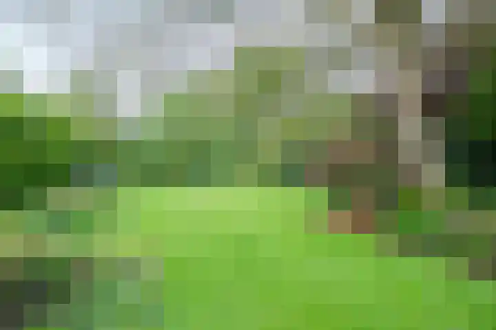 Valkenburgerweg 35 Nuth thumbnail 15