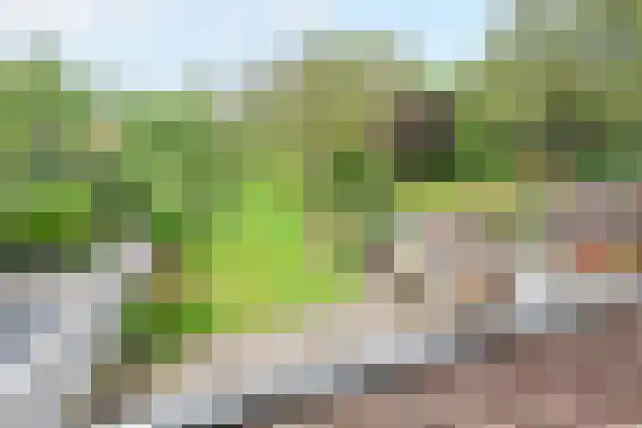 Valkenburgerweg 35 Nuth thumbnail 29