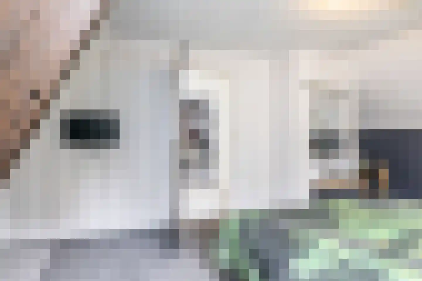 Valkenburgerweg 38 Wijlre thumbnail 18