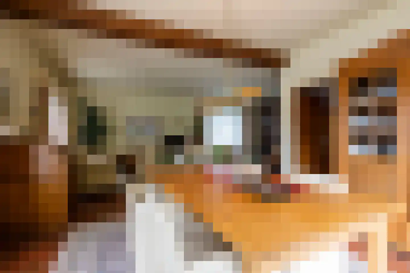 Valkenburgerweg 69 Nuth thumbnail 11
