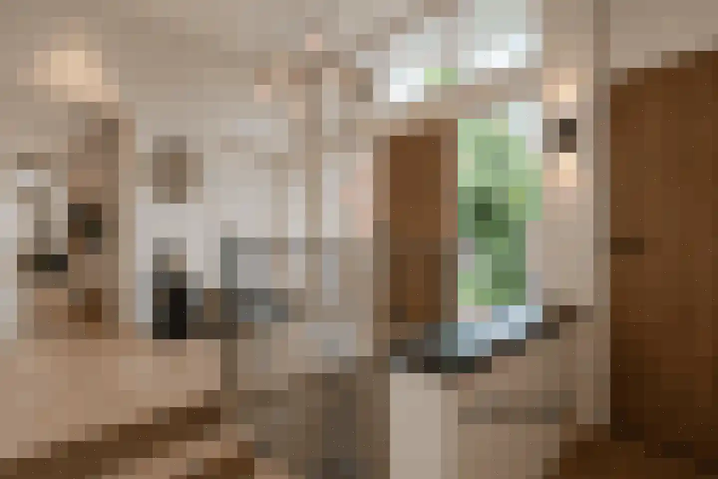 Valkenburgerweg 69 Nuth thumbnail 23