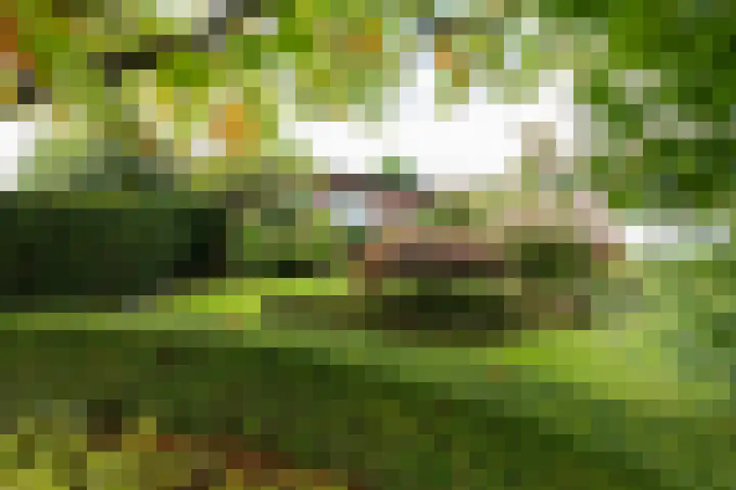 Valkenburgerweg 69 Nuth thumbnail 37