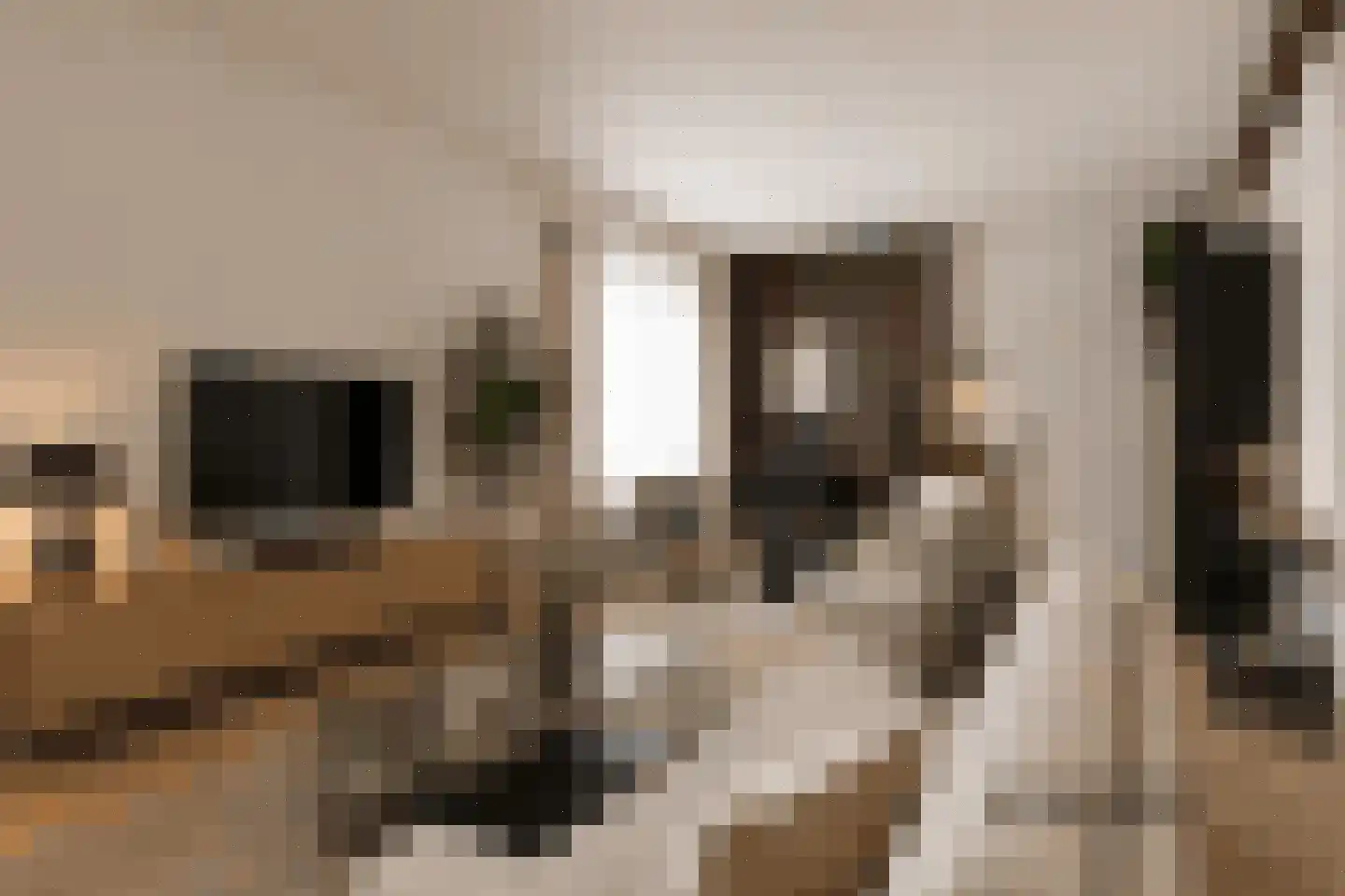 Valkenburgerweg 69 Nuth thumbnail 9