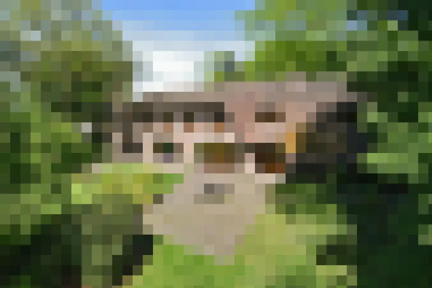 Valkenburgerweg 69 Voerendaal thumbnail 39