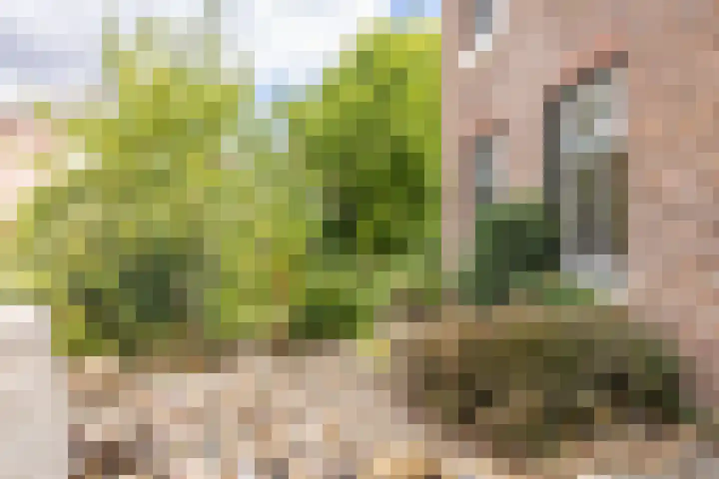 Valkenburgerweg 75 Nuth thumbnail 11
