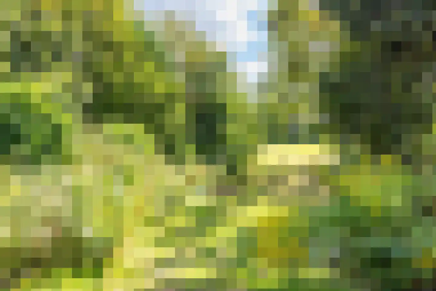 Valkenburgerweg 75 Nuth thumbnail 65