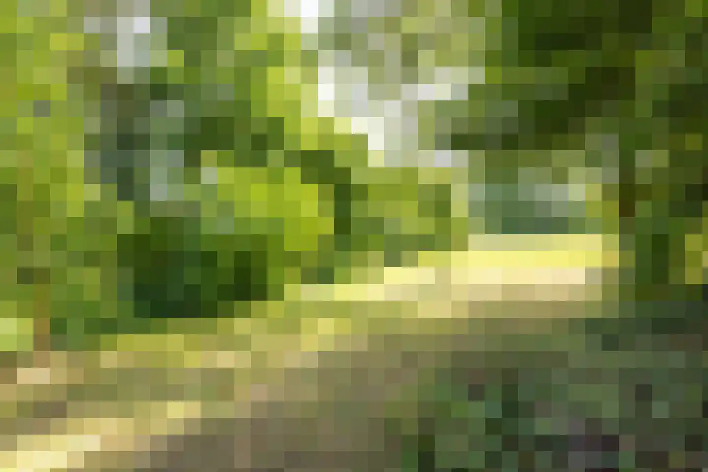 Valkenburgerweg 75 Nuth thumbnail 66