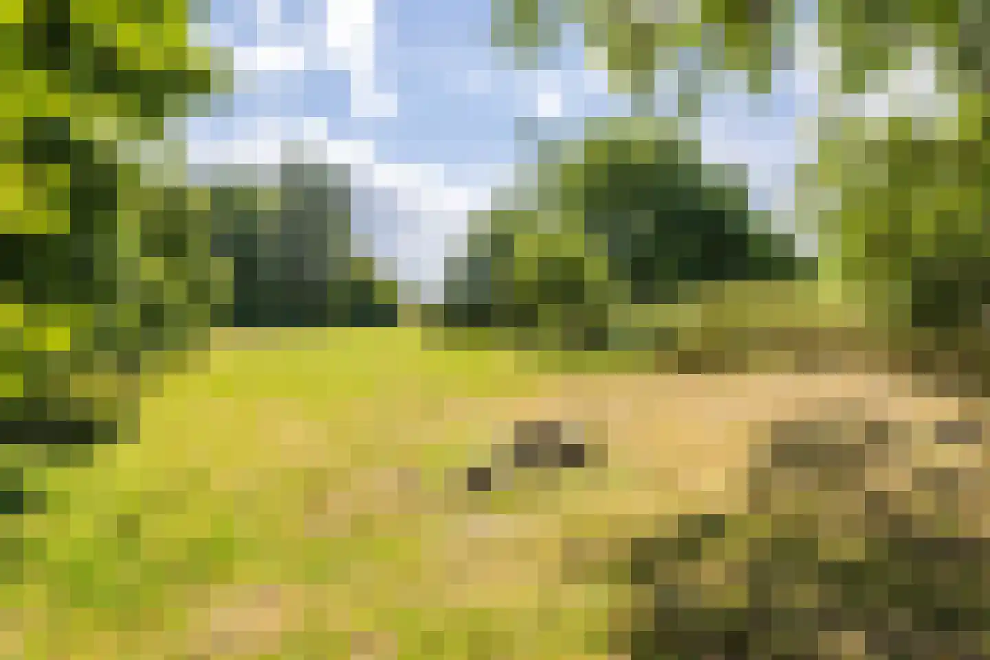 Valkenburgerweg 75 Nuth thumbnail 67