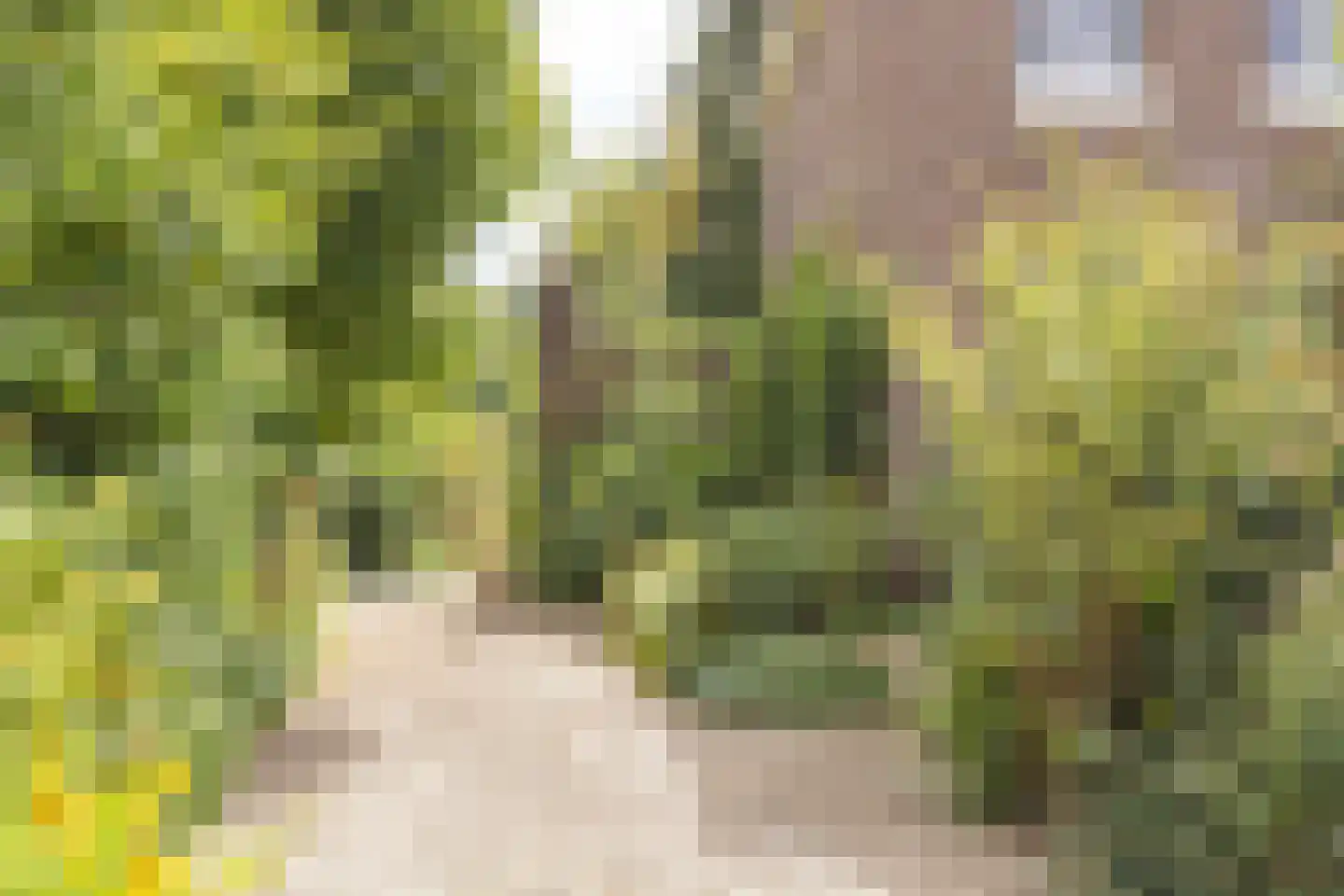 Valkenburgerweg 75 Nuth thumbnail 7