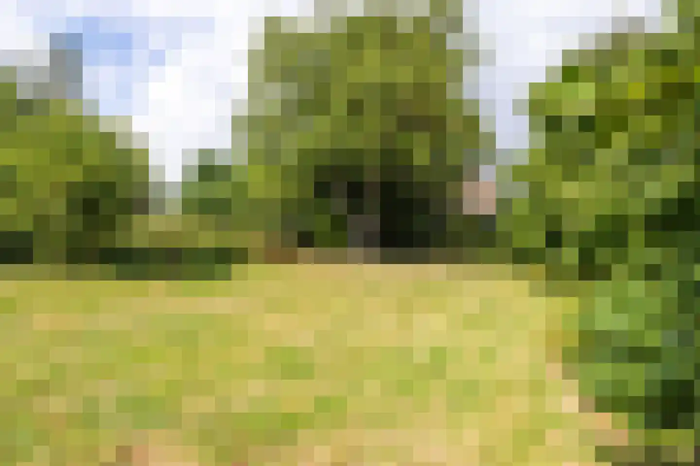 Valkenburgerweg 75 Nuth thumbnail 71