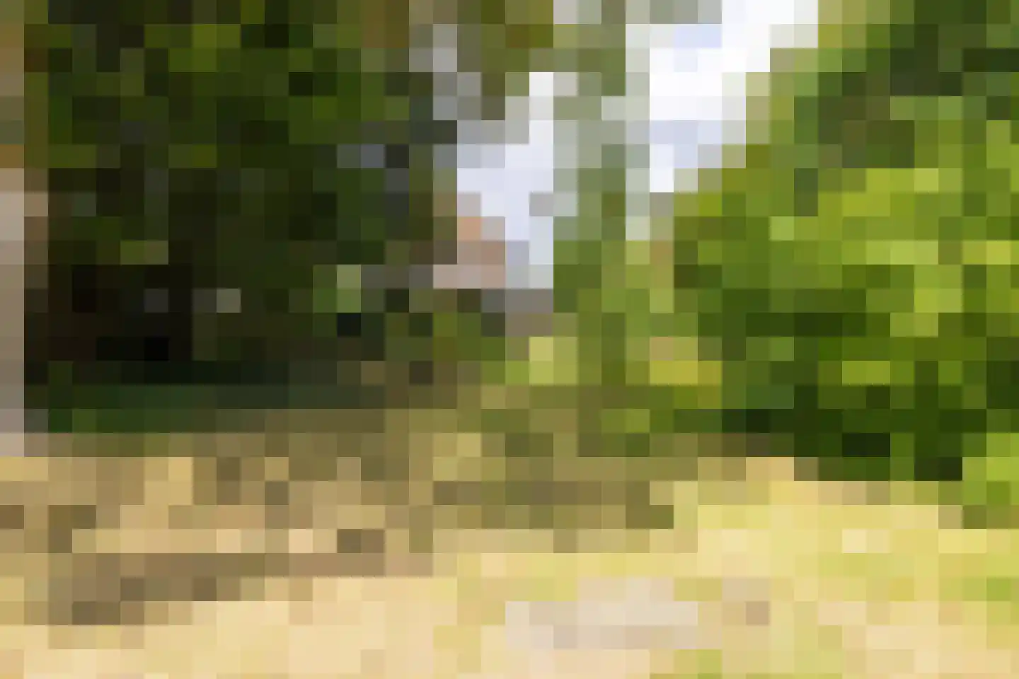 Valkenburgerweg 75 Nuth thumbnail 72