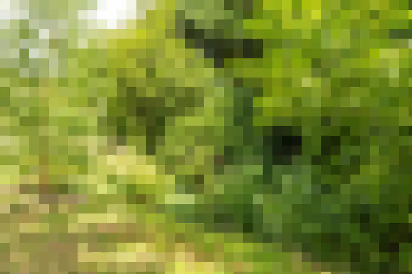 Valkenburgerweg 75 Nuth thumbnail 73